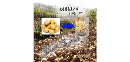 薯條生產線助力馬鈴薯產業新發展
