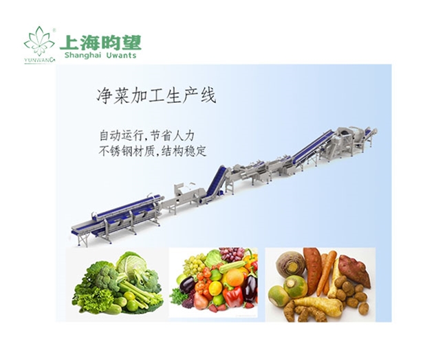 凈菜加工生產(chǎn)線