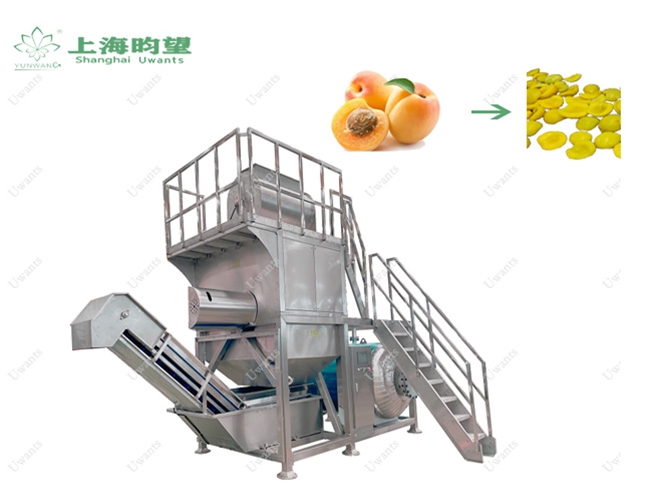 黃桃蒸汽去皮機