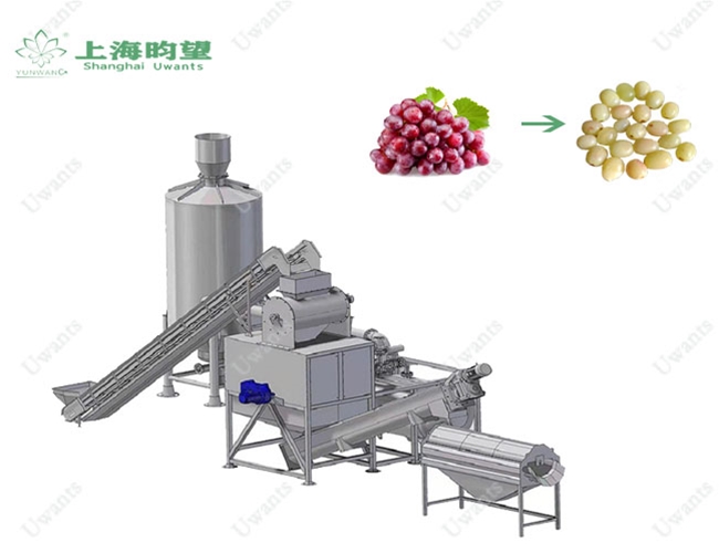 葡萄蒸汽去皮機